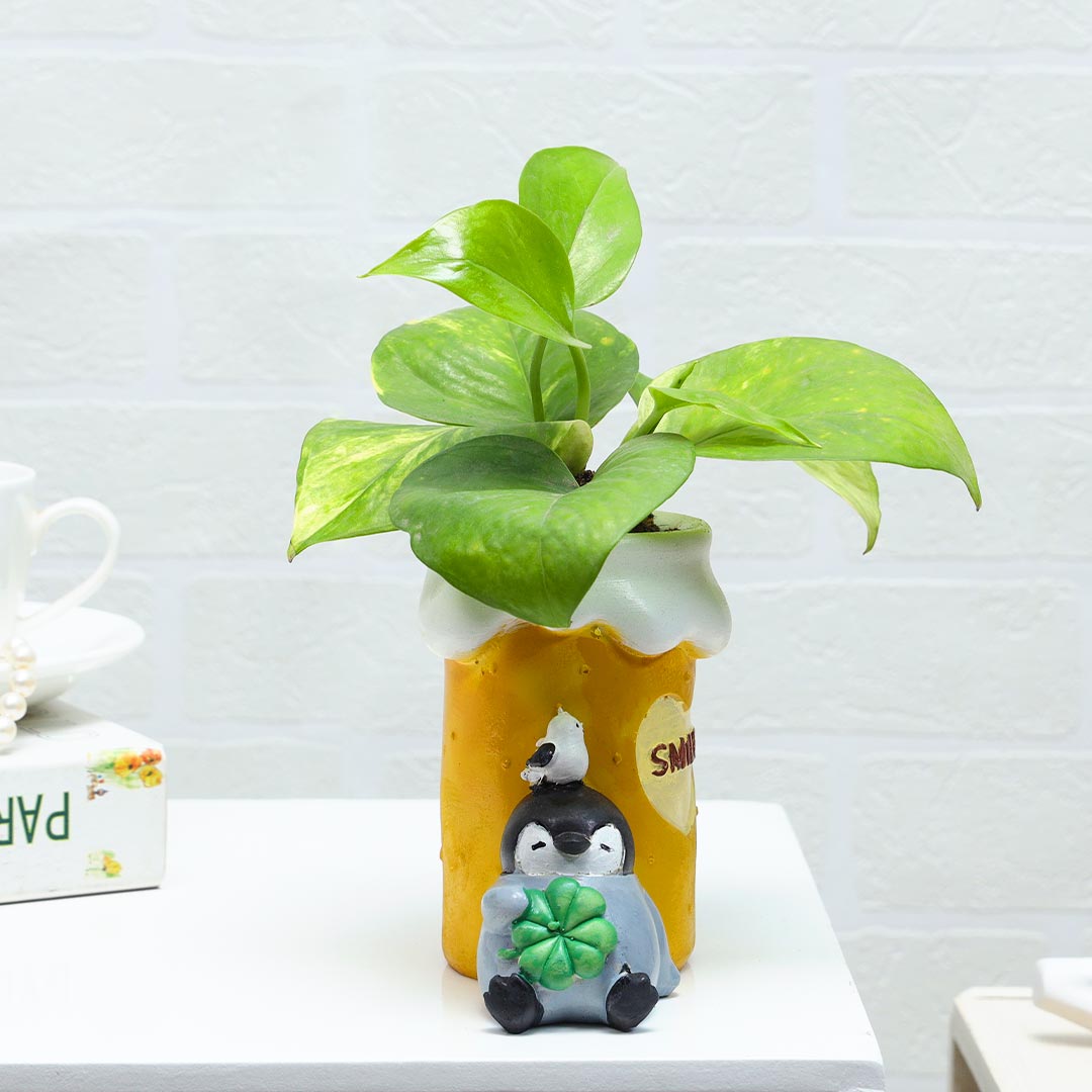 Resting Penguin Under Money Plant