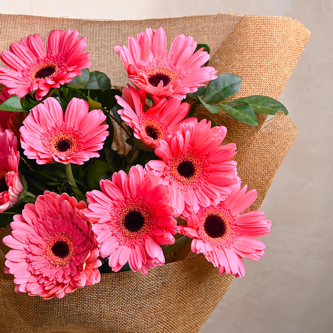 Stunning Pink Gerberas Wrapped In Love