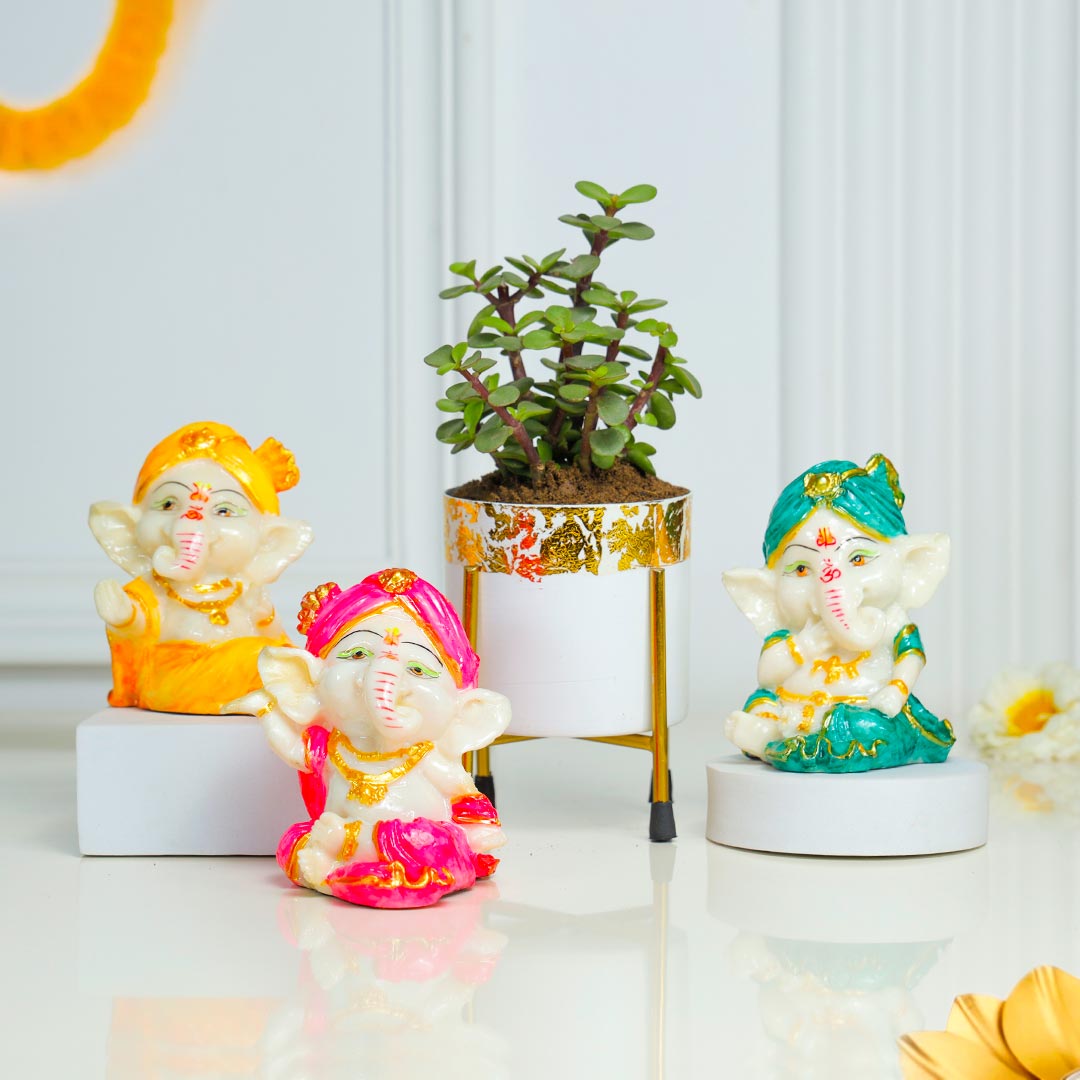 Buy Three Adorable Baby Ganesha With Jade Plant