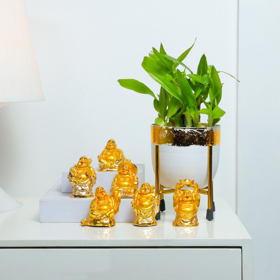 White Pot Green Bamboo Laughing Buddha